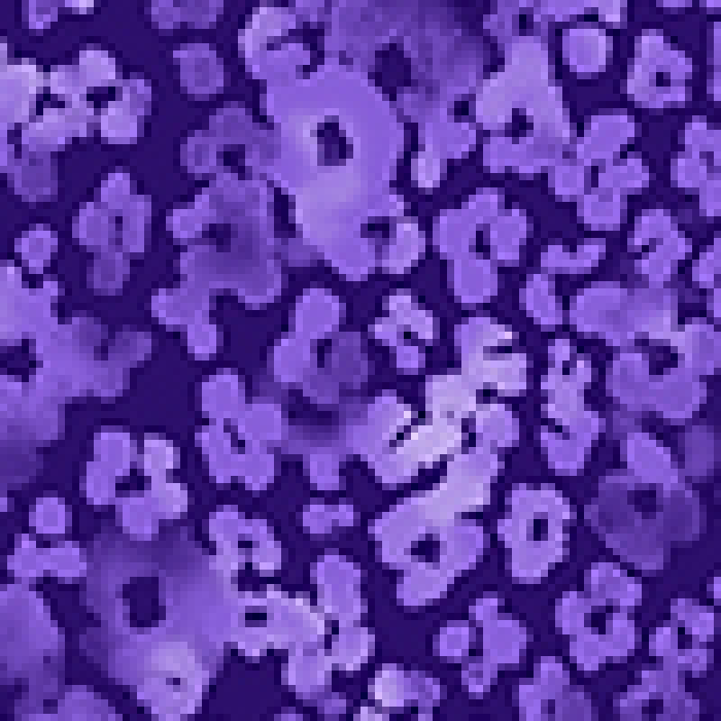COLOR:Tonal Cheetah Grape/Wisteria